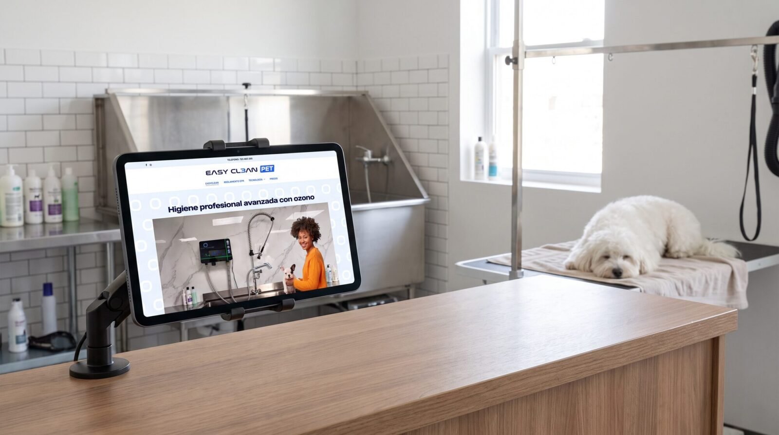 Web de EasyCleanPet en un ordenador, en su contexto